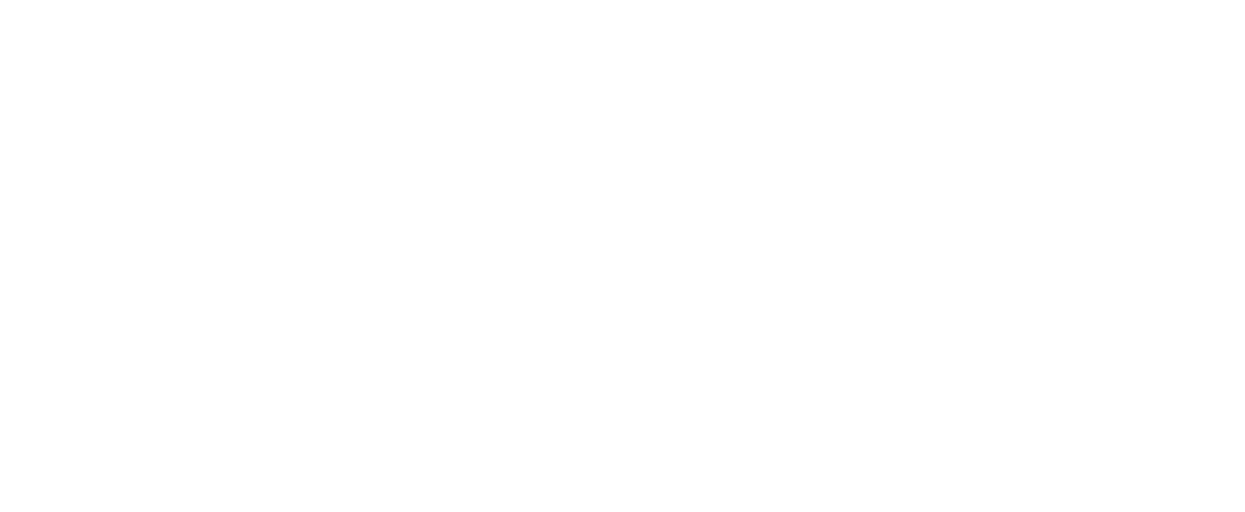 Bella Rental Car
